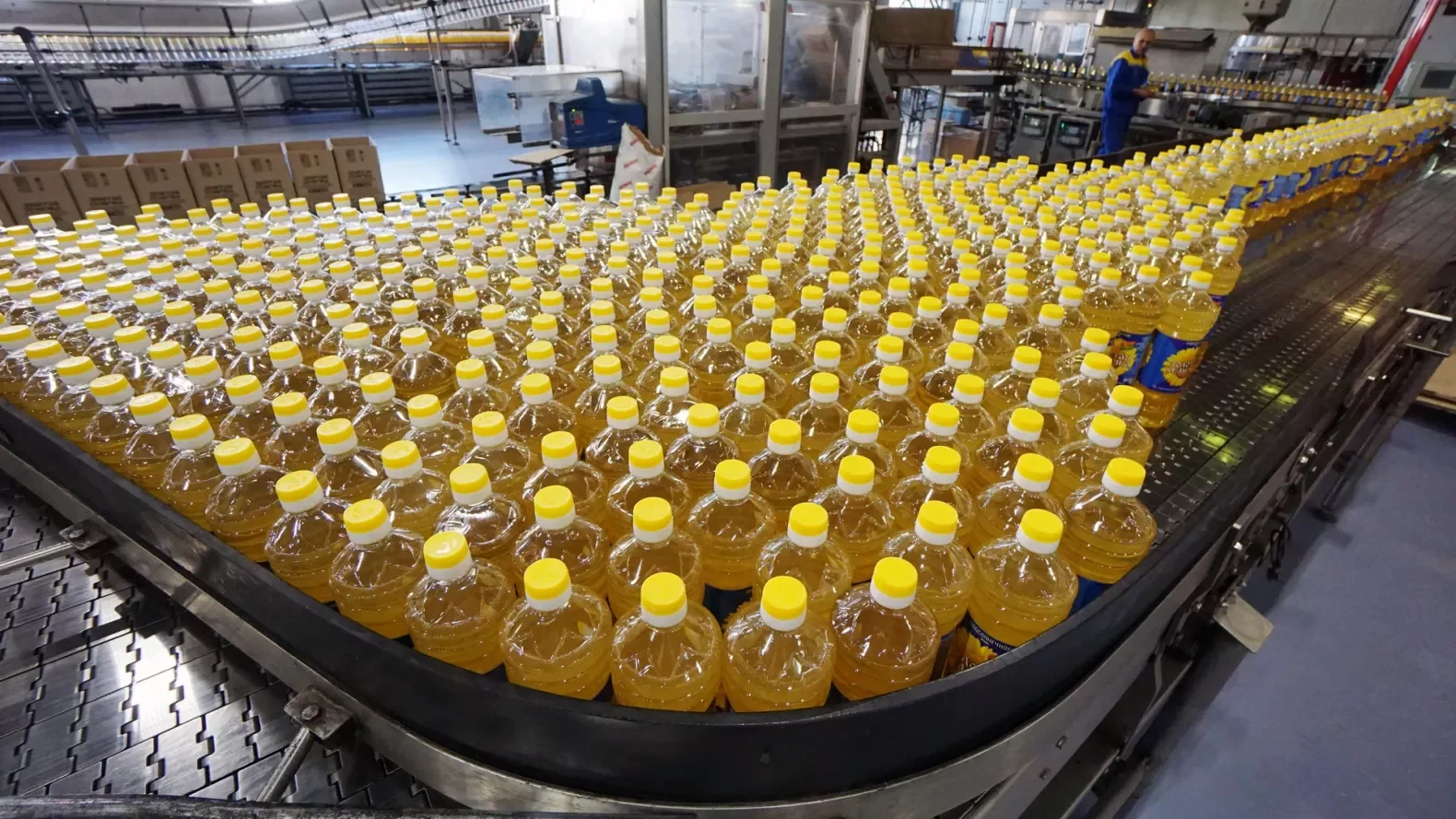 Казахстан нарастил экспорт агропродукции