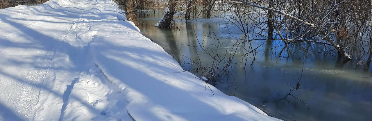 В городе власти прокомментировали ситуацию с затоплением дачной дороги