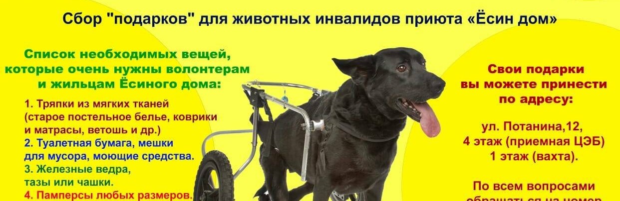 Экологи проводят благотворительную акцию в помощь животным