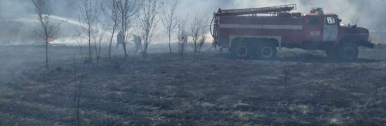 Произошло возгорание травы на Самарском шоссе