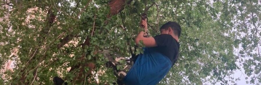К спасателям обратилась женщина, которая рассказала, что ее сын забрался на дерево