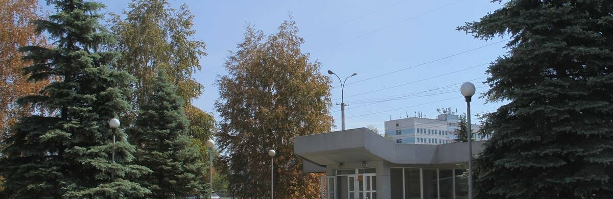 Названа предварительная гипотеза относительно пожелтения деревьев
