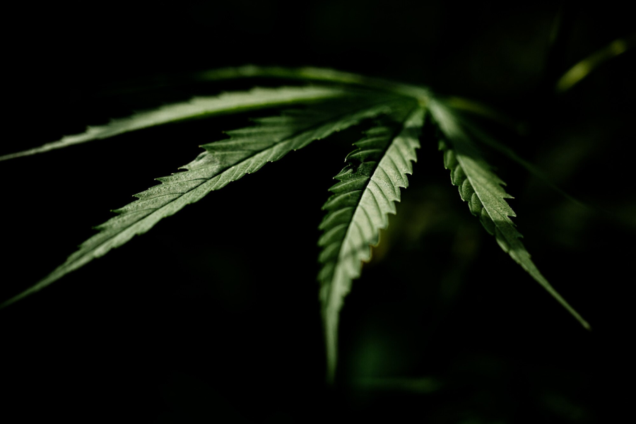 www.7232.kz
