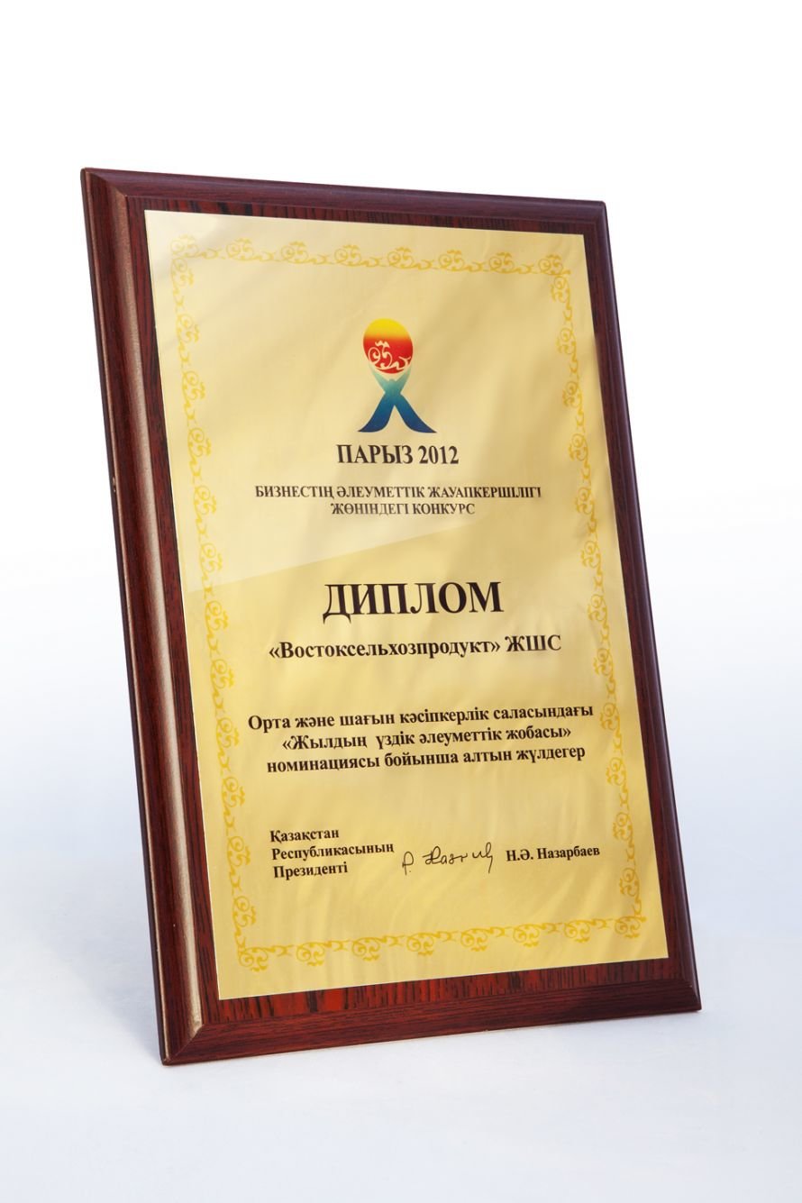 Диплом "Парыз 2012"